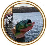 Drone service in Austin, Texas